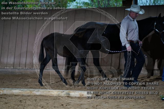 s_K3F04815.JPG